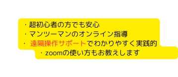 超初心者の方でも安心 マンツーマンのオンライン指導 遠隔操作サポートでわかりやすく実践的 zoomの使い方もお教えします