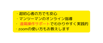 超初心者の方でも安心 マンツーマンのオンライン指導 遠隔操作サポートでわかりやすく実践的 zoomの使い方もお教えします