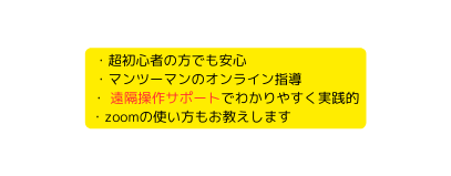 超初心者の方でも安心 マンツーマンのオンライン指導 遠隔操作サポートでわかりやすく実践的 zoomの使い方もお教えします