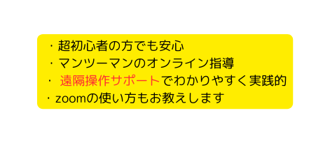 超初心者の方でも安心 マンツーマンのオンライン指導 遠隔操作サポートでわかりやすく実践的 zoomの使い方もお教えします